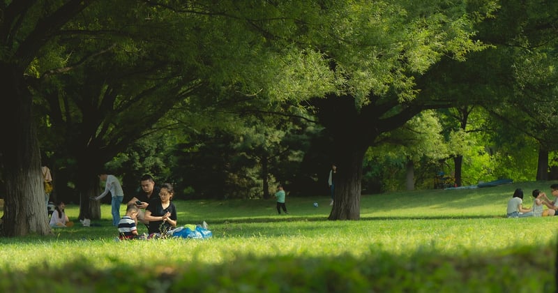 Activités en plein air à faire en famille pendant les vacances : 15 idées