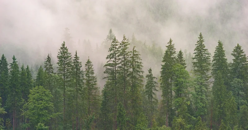 Une destination nature, ça se mesure (vraiment)