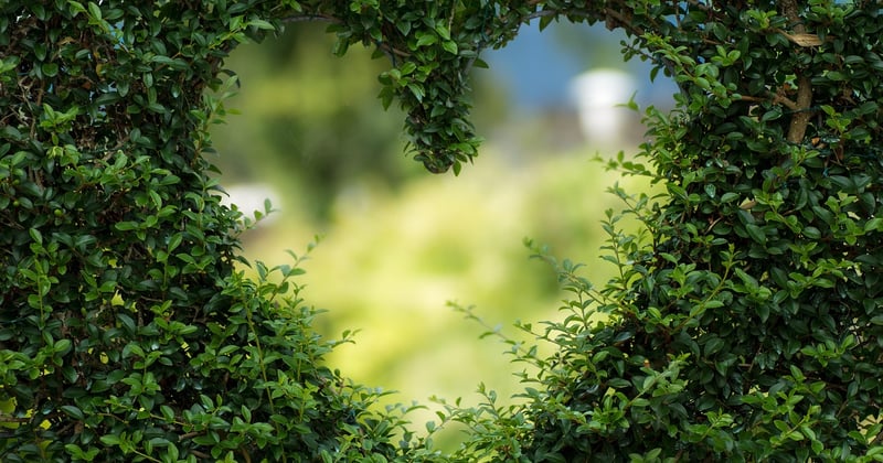 Les plus beaux parcs nationaux à visiter pour les amoureux de nature