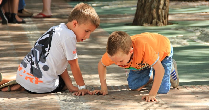10 randonnées faciles pour découvrir la nature en famille